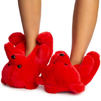 TED SLIPPERS-RED