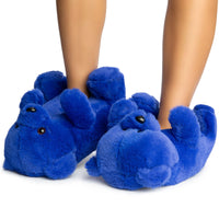 TED SLIPPERS-BLUE