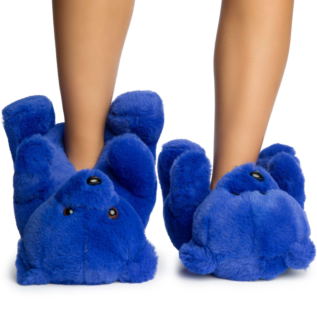 TED SLIPPERS-BLUE